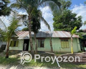 fitted-13_2025-09-21_18-55-37