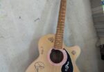 Givson Guitar Made In India