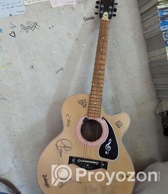 Givson Guitar Made In India