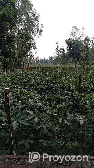 JOMI BIKROY