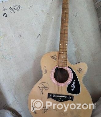 Givson Guitar Made In India