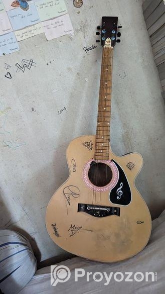 Givson Guitar Made In India