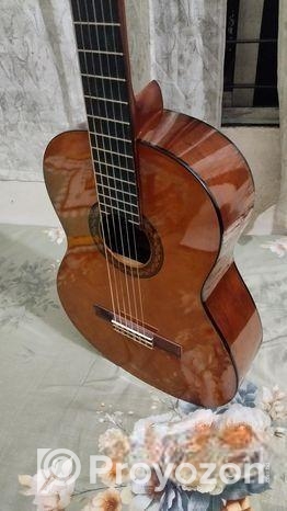 Yamaha C40 Guitar গিটার