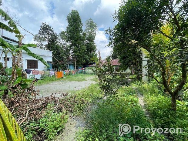 House For Sale with Land! বাড়ি বিক্রি হবে জমির সাথে!