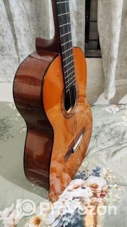 Yamaha C40 Guitar গিটার