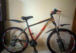 Phoenix Bicycle for sale