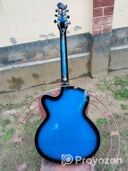 Signature Guitar