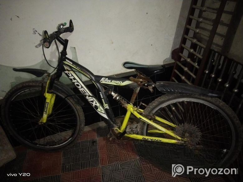 Phoenix non gear