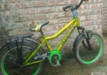 Phoenix Bicycle Sell