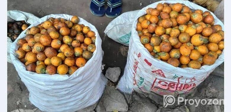 কম মূল্যে সুপারি বিক্রয়