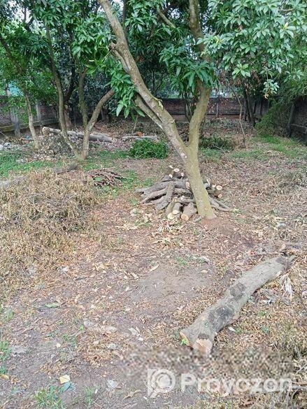Urgent Land Sell.