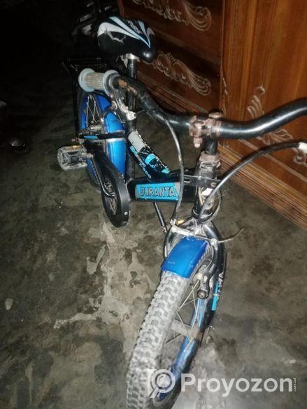 Duronto Cycle