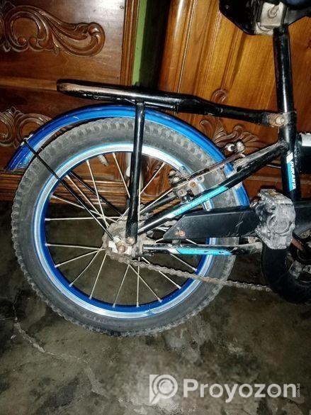 Duronto Cycle