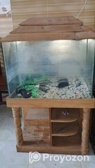 Aquarium