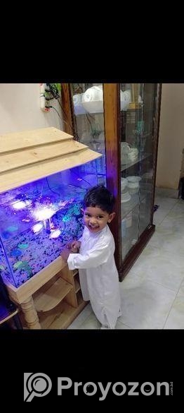 Aquarium