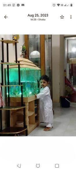 Aquarium