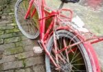 Duranta Bicycle for sale