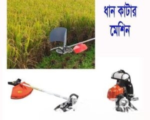 fitted-2025-09-18T122453.382_2025-09-18_12-28-22