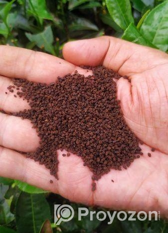 Tea Gold(tg)