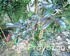 fitted-2025-09-20T010044.946_2025-09-20_01-01-46