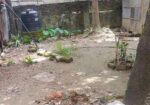 সাউথ খুলশীতে জমি বিক্রি হবে