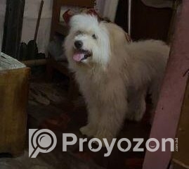 fitted-2025-09-21T191258.983_2025-09-21_19-13-35