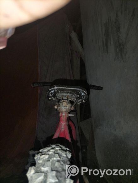 Bicycle for sale