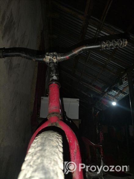 Bicycle for sale