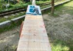 ক্রিকেট ডিয়ুস বেট।