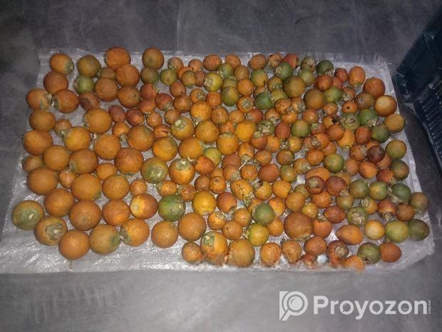 ১ কুড়ি দেশি গাছ পাকা সুপারি