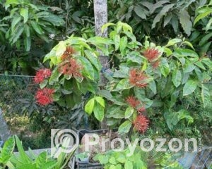 fitted-2025-09-29T112153.122_2025-09-29_11-23-00