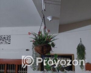 fitted-2025-09-29T113245.711_2025-09-29_11-33-28