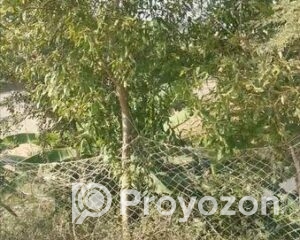 fitted-20_2025-09-29_09-48-39