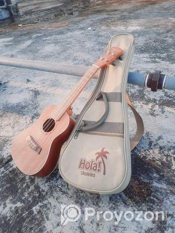 Guitar For Sale