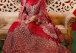 বিয়ের গরজিয়াজ গাউন-