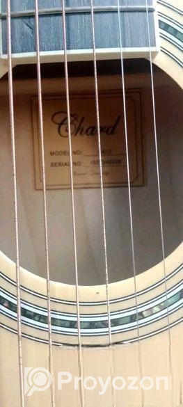 Guiter
