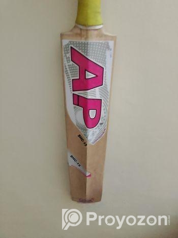 Cricket set