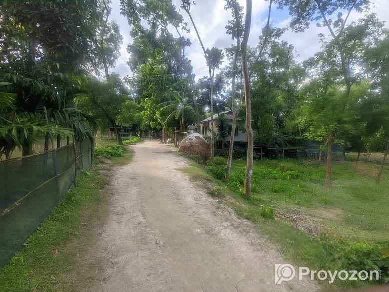 রাস্তের পাশে ১৩ শতক জমি জরুরীভিত্তিতে বিক্রয় হবে।