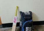 Cricket set