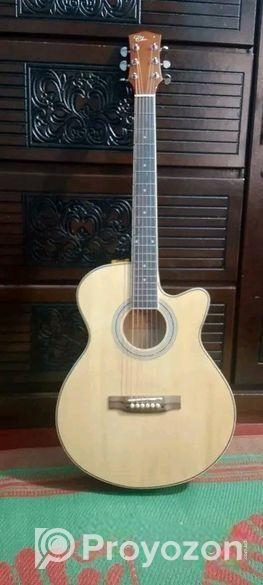 Guiter