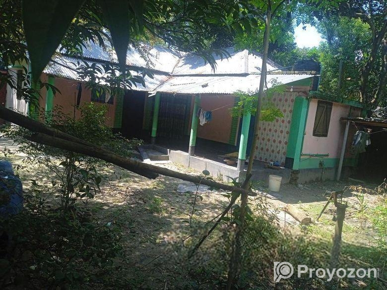 তিন রুম বিশিষ্ট অ্যাটাস্ট বাথরুম কিচেন সাপ্লাই বিদ্যুৎসহ বাইরে বা