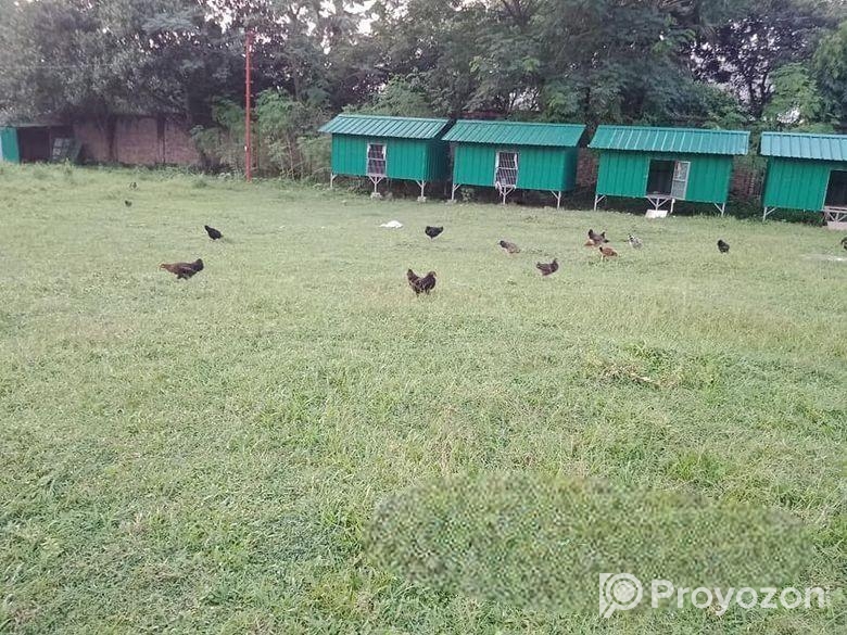 মাওনা, গাজীপুরে জমি বিক্রয়