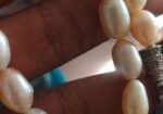 Mother Pearl.মুক্তার মালা