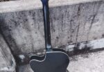 Signeture Guiter
