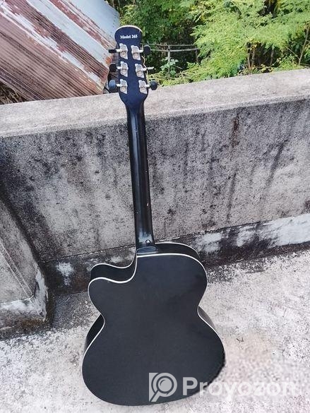 Signeture Guiter