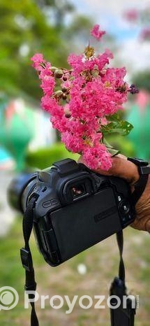 Canon 250 body