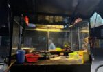 Food Cart for sale