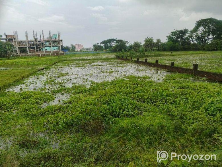 Land Sale