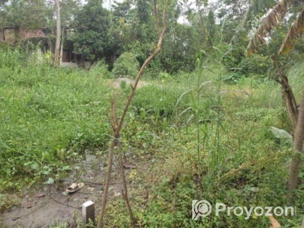 সামনাসামনি সব হবে. জমি বিক্রয়