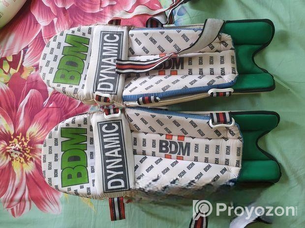 Cricket kit